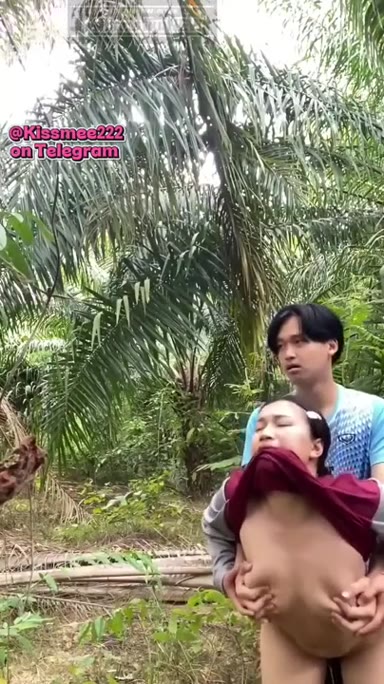 Background nonton video viral ABG Main Di Kebun Sawit Viral Yandex Terbaru
